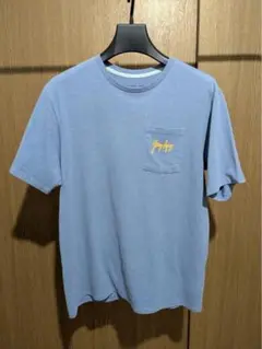 patagonia パタゴニア Tシャツ