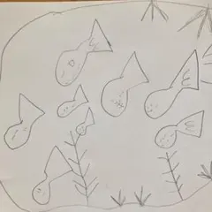幼児　イラスト　魚　年長さん