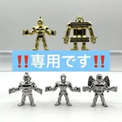 ❗️こちらは専用です❗️