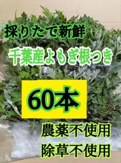 雪割一華様 リクエスト 2点 まとめ商品