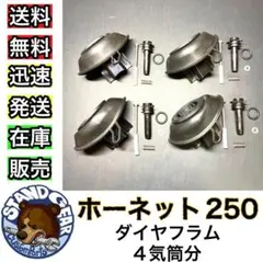 ホンダ ホーネット250 純正ダイヤフラム - メルカリ
