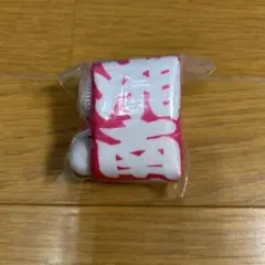 湘南乃海　ペットボトルカバー 相撲 白と赤のデザイン