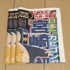 ポケモンSleep サンスポ特別号外（九州・沖縄版）3つセット