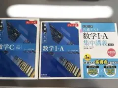 青チャート 数学IA 数学C 共通テスト数ⅠA集中講義