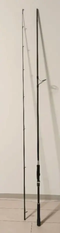 2025年最新】ショアジギングロッドの人気アイテム - メルカリ
