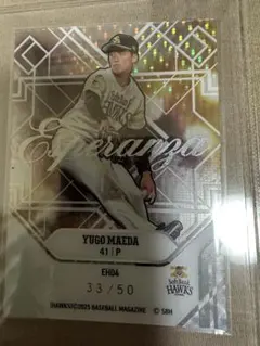 Yugo Maeda Esperanza 33/50