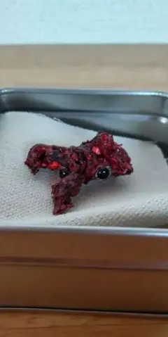 【ハンドメイド】肉塊君01