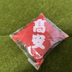 大相撲　ガチャ　関取控え座布団キーホルダー　髙安