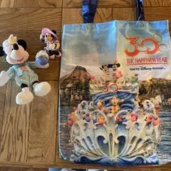 東京ディズニーリゾート30周年記念エコバッグ&イースターのキーホルダー