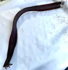 Item thumbnail for item 51b46d9d-248b-4e72-9dbe-6fd345d1c58b