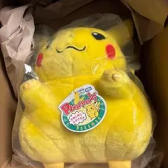 新品未開封 ポケモン30周年記念おかえり!ピカチュウ1/1