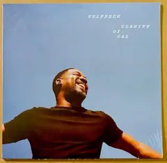 レア!新品!Vulfpeck『Theo!』レコード ヴァイナル Vulfpeck – Vulf Vault 003: Theo! – Vinyl (White, LP, Album +
