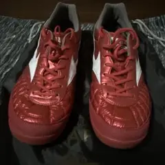 MIZUNO MORELIA SALA JAPAN TF 27.0