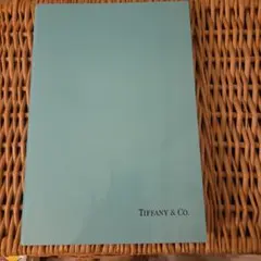 Item thumbnail for item bb7601eb-009f-40c0-bf72-80d6550f6dea