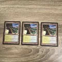 mtg ヤヴィマヤの沿岸 3枚 日本語
