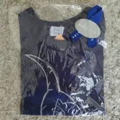 新品未使用　ハッカベビー　Tシャツ　恐竜のサムネイル
