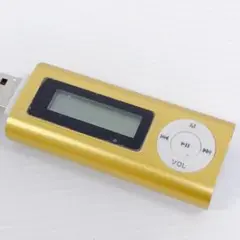 D【ブランド不明】デジタルオーディオプレイヤー 2GB