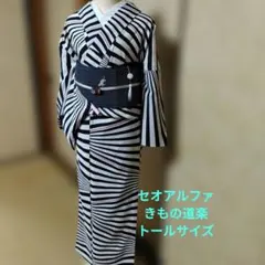きもの道楽 セオアルファ 浴衣 変わり縞柄 黒白赤 トールサイズ 洗える 