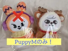 SKZOO straykids スキズ ぬいぐるみ セット オリジナル ミニ Stray Kids x SKZOO [THE VICTORY] SKZOO MINI PLUSH - JYP SHOP