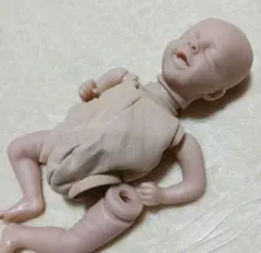 2025年最新】ドール リボーンの人気アイテム - メルカリ