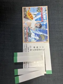 ナガシマスパーランド ジャンボ海水プール 特別入場券 2枚 - メルカリ