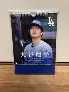 大谷翔平 31日 万年日めくりカレンダー　新品　希少品