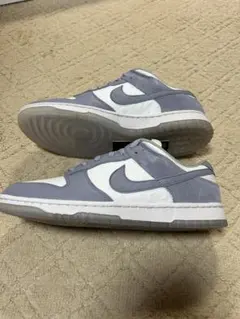 Nike Dunk Lowナイキ ダンク 新品未使用 29cm バイユー