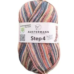 Austermann　アウスターマン　Step4　キモノ　498番