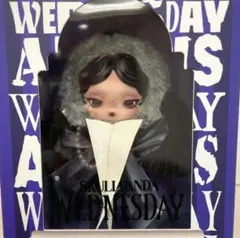 SKULLPANDA x Wednesday ぬいぐるみ