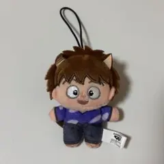 2025年最新】鉢屋三郎 ほわぬいの人気アイテム - メルカリ