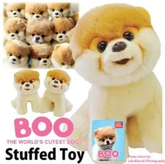 GUND Boo 世界で一番かわいいポメラニアンのぬいぐるみ　ポメラニアン