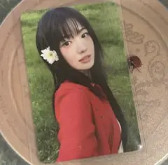 kiiikiii UncutGEM スイトレカ