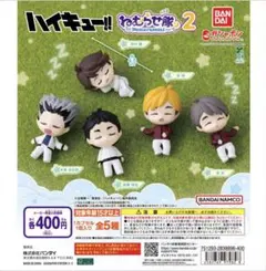 ハイキュー　眠らせ隊2 セット