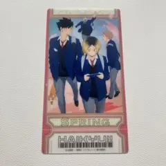 ハイキュー　音駒　ビジュアルクリアチケット