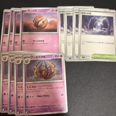 アノホラグサ　進化ラインセット