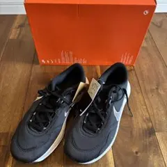 A01 NIKEスニーカー ジム ナイキランニングシューズ 通学靴 部活 運動 