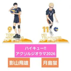 【2種セット】ハイキュー アクリルジオラマ 影山飛雄 月島蛍 アクスタ アニメ