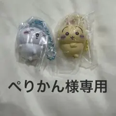 ぺりかん様専用ページ