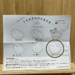 犬のけだまだま　うちの子のけだまだま