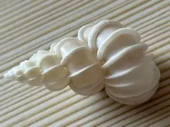 天然素材 帯留め 貝殻 貝 合わせ買い 着物 帯 彫刻 アイボリー 私