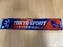 【美品】FC東京タオルマフラー