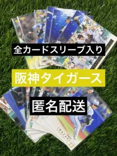 阪神タイガース 2025 BBM 2nd コンプリートセット 25枚
