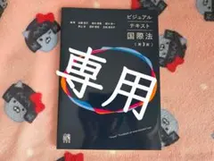 ビジュアルテキスト国際法 第3版