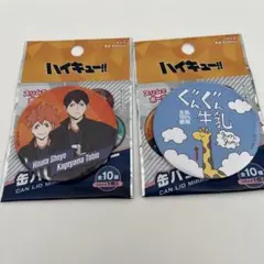 ハイキュー!! 缶バッジ 風ミラー2個セット