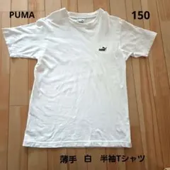 PUMA 白 半袖Tシャツ 150