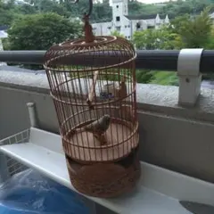鳥籠 美術品 木工品 工芸品 置物 装飾 インテリア