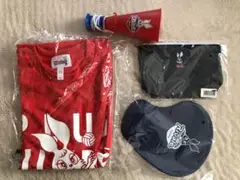 アステモ　リバーレ　応援グッズ