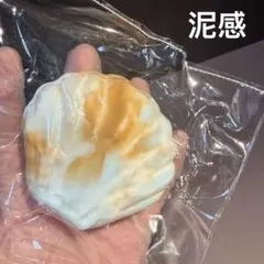 [チーズ感]貝殻　海外スクイーズ