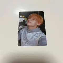 cortis アルバム タレントカード