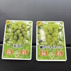 長野県 生坂村 ぶどうカード 4種類 - メルカリ